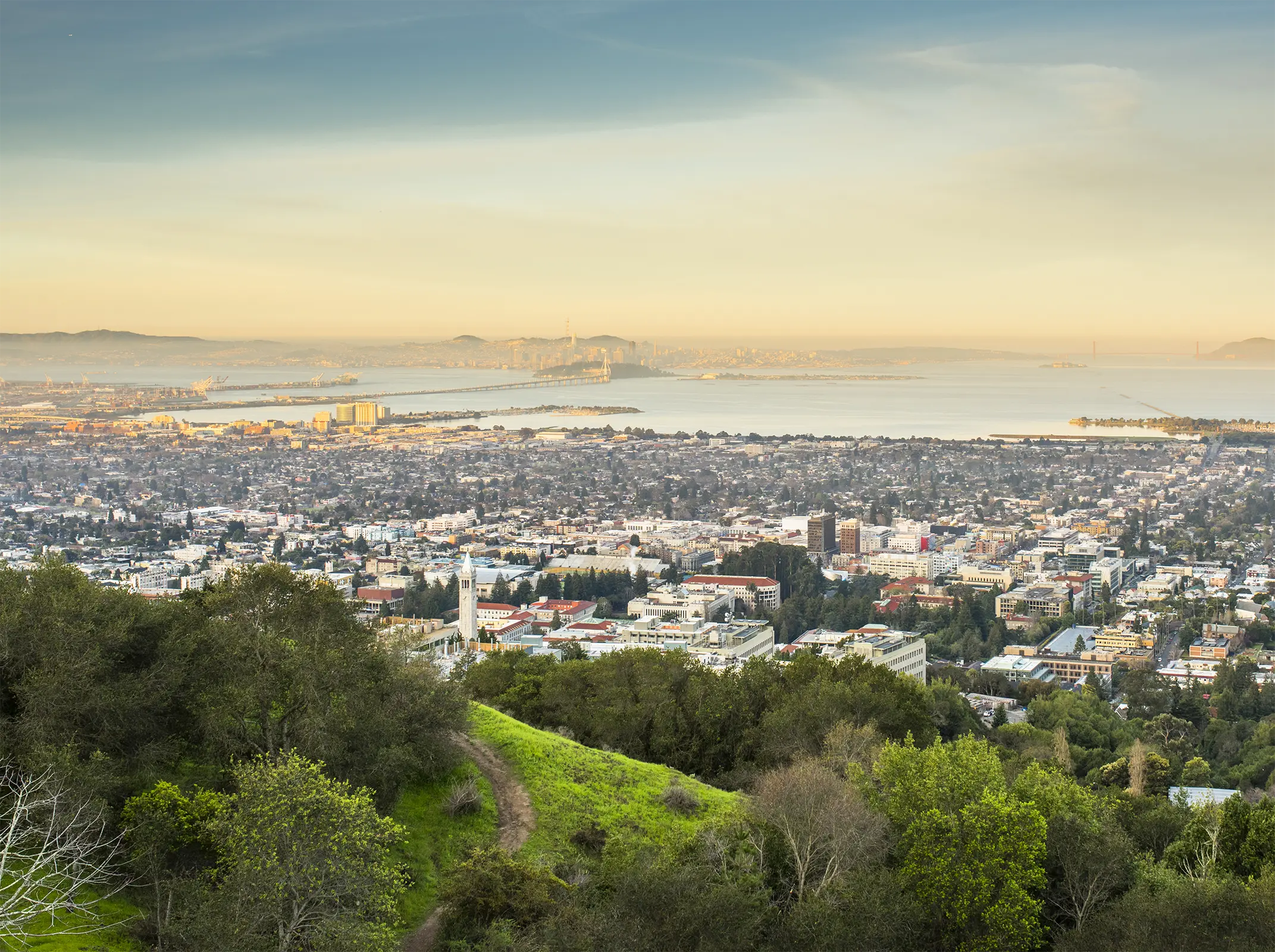 San Francisco view from Berkeley